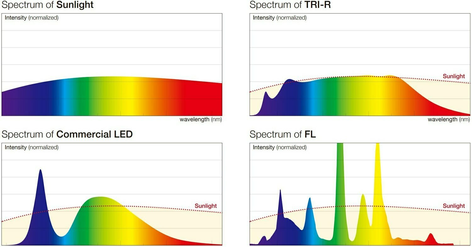 3-R sunlike TRI-R spectrum