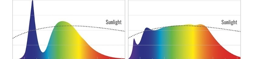  обычные "белые" светодиоды светодиоды солнечного спектра